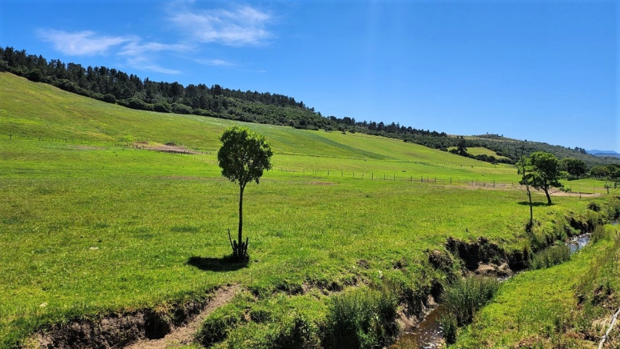 0 Bedroom Property for Sale in Agricultural Holding 318 Western Cape